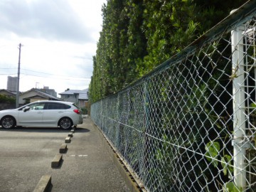 久留米市　剪定工事5_作業後